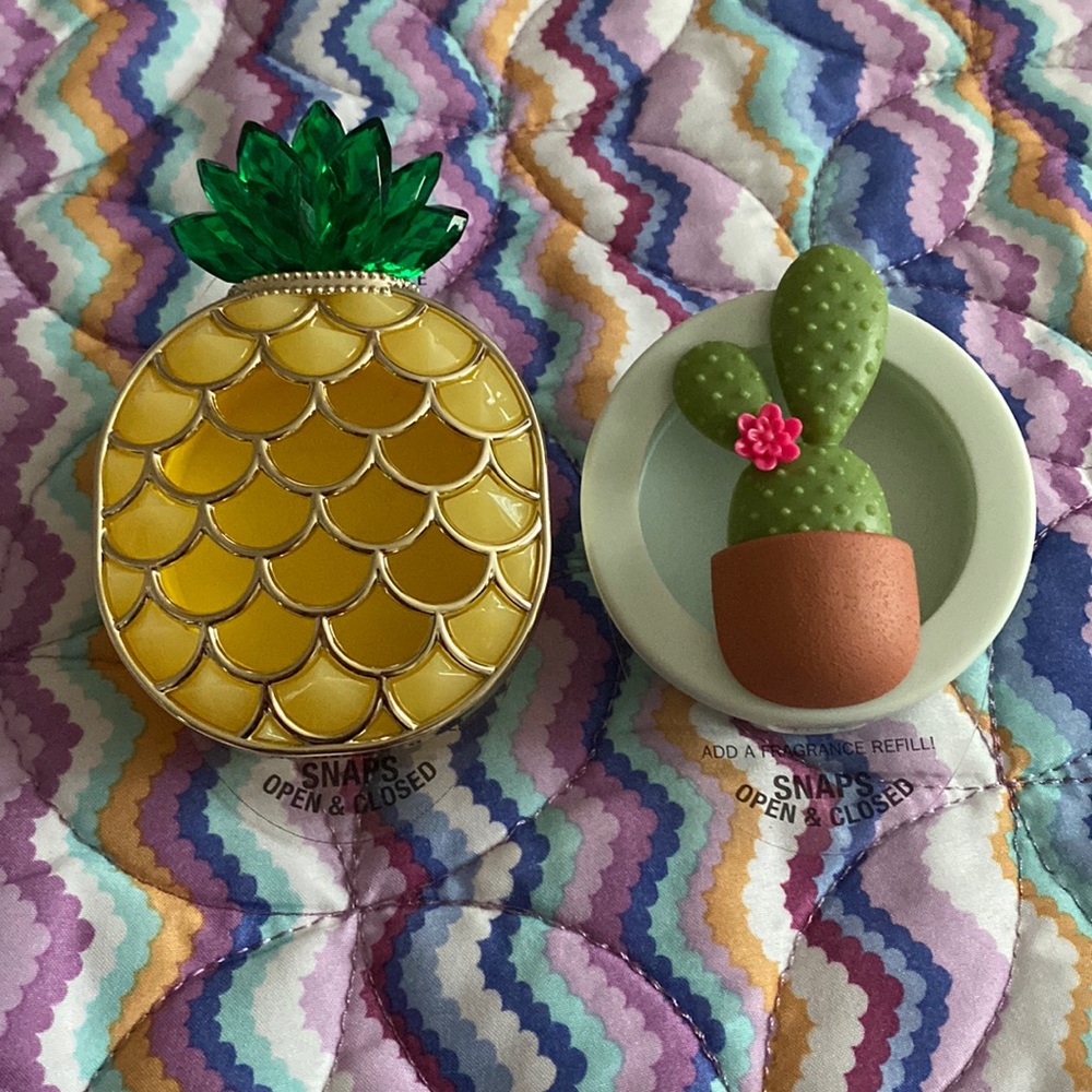 Car Fragrance Visor Clip Bundle 💫